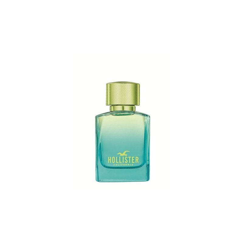 Hollister wave 2 100ml best sale